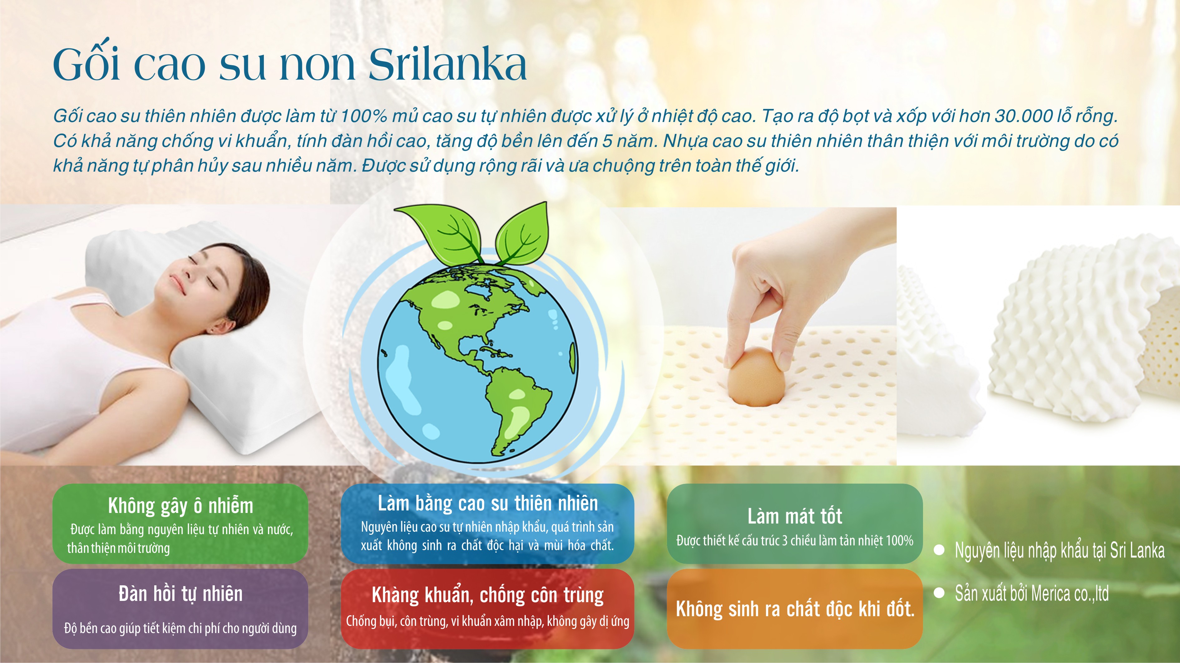 Gối cao su non Srilanka có thật sự tốt không?